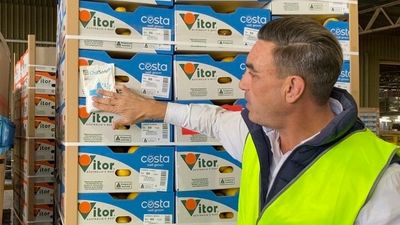 Bacteria-killing sachets a world-first agtech tackling food loss in transit and reducing landfill