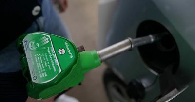 Petrol price cut for UK drivers among lowest in Europe, RAC claims