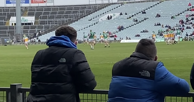 American family make interesting observations after attending first hurling match in Ireland