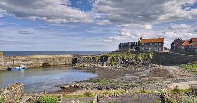 TripAdvisor ratings reveal north east as UK's best region for fish and chips