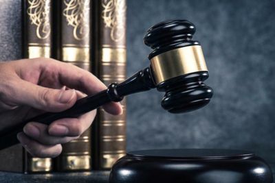 40-million-year-old crocodile fossil could be snapped up for £15,000 at Scottish auction