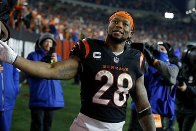 Joe Mixon catching passes already big part of Bengals training camp