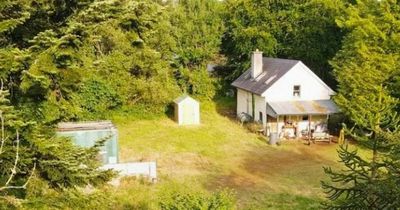 Inside the cottage that looks like something from a Disney film on sale for just £79,000