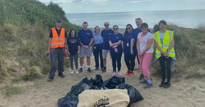 Volunteers clean up 20kgs of dog poo in Wicklow village