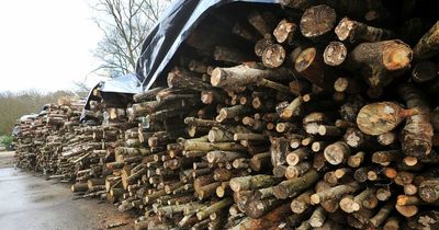 Free wood giveaway in boost for Ayrshire garden fire pits and chimeneas