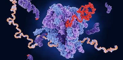 Helping cells become better protein factories could improve gene therapies and other treatments – a new technique shows how