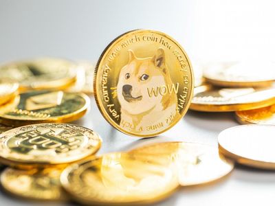 Dogecoin Daily: Weekend Rally Cools Off, Co-Founder Reacts To Crypto 'Price Experts,'  Robinhood CEO Gives Update