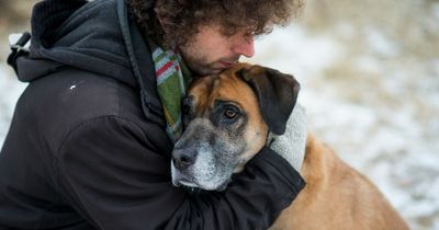 Vet's 'calendar test' tells owners when it's the right time to put their pet down