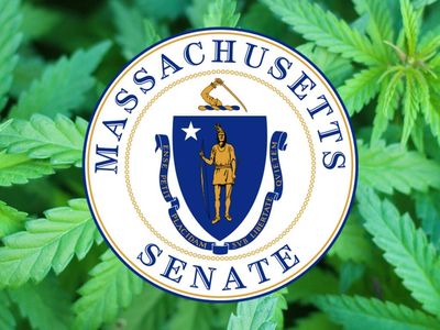 Marijuana Compromise Bill Addressing Social Equity, Taxes Approved In MA House & Senate