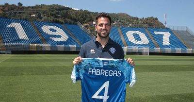 Cesc Fabregas completes Serie B move after transfer talks with Dennis Wise