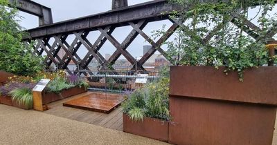 Podcast dubbed 'a real love letter' launched to celebrate National Trust's Castlefield Viaduct sky park