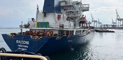 Ukraine war: first grain ship leaves Odesa, but EU should have seen food and energy crises coming