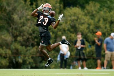 Early winners and losers from Cincinnati Bengals training camp