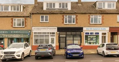 Edinburgh property: Upper villa with bold colours and a perfect private garden hits the market