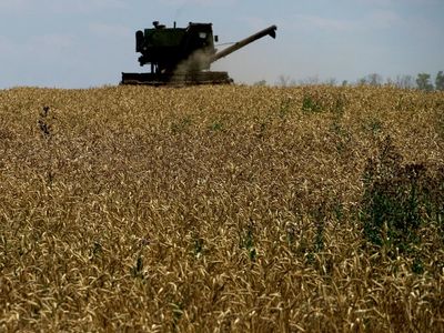 Russia-Ukraine war: A weekly recap and look ahead (Aug. 1)