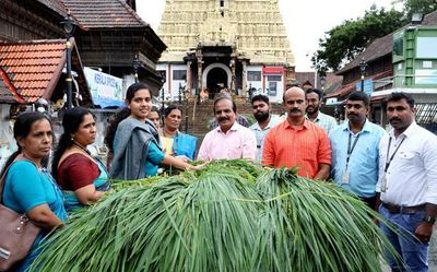 Mayor hands over paddy spikes for ‘Niraputhari’ ritual