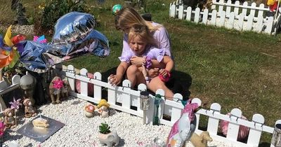 'Council jobsworths have threatened to tear down fence around my baby's grave'