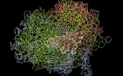 Explained| AlphaFold: A tour de force in science