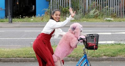 Meet the woman and her poodle who have gone viral for riding a scooter through Newcastle