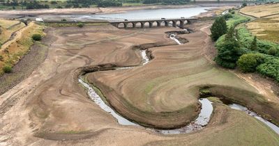 Driest July EVER for parts of England with just 5mm of rain over 31 days