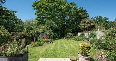 Savvy shopper finds 'perfect addition' to their garden as planters drop in price