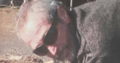 Renewed call to find missing man Allan Bentley