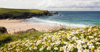 The hidden beach haven that neighbours the hustle and bustle of Newquay