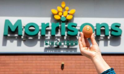 Hens will be fed insects to lay carbon-neutral eggs for Morrisons