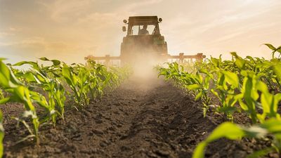 Fertilizer Stocks: Nutrien Cuts Earnings Guidance, But NTR Rises