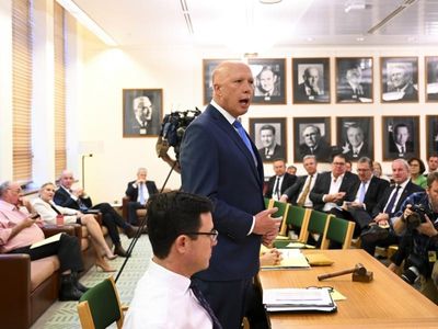 Greens to meet again on Labor climate bill