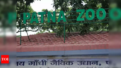 2 baby giraffes at Patna zoo named as Aman and Himani