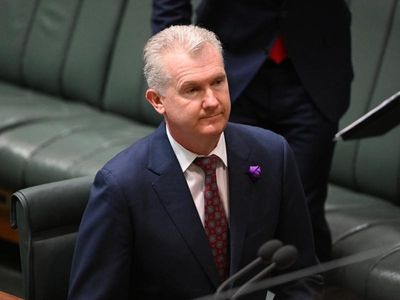 Parliament to examine Workforce Australia