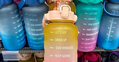 Home Bargains restocks viral TikTok water bottle 'dupe' that shoppers 'need'