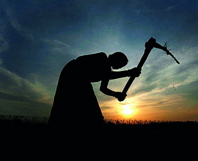 Shifting trend of rainfall affects agriculture in North East region: Experts