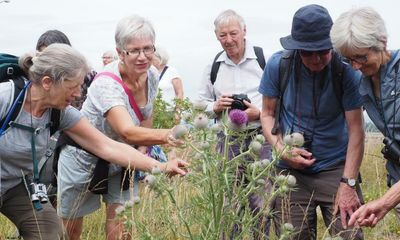 Country diary: The joy of wildlife walks is ‘many eyes see more’