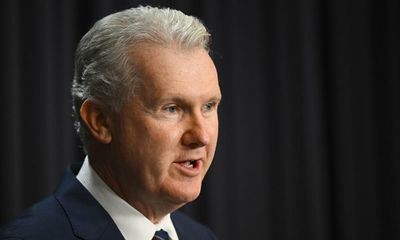 Tony Burke flags parliamentary inquiry to consider overhaul of Workforce Australia jobs program