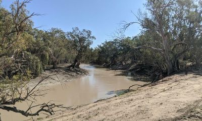 Murray-Darling Basin Plan ‘cannot achieve’ environmental water savings target, report finds