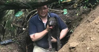 Cruel gamekeeper Rhys Davies used his dogs for fights and sent pictures of people posed with dead animals