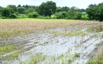 Rains wreak havoc in Koppal, Vijayanagara districts