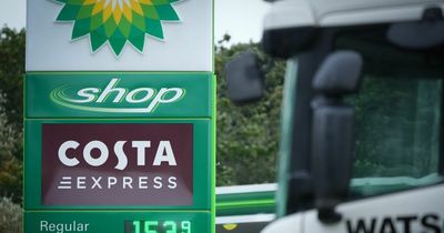 BP sees earnings hit 14-year high amid anger over energy firm profits