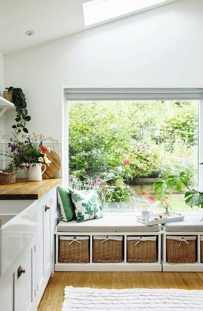 6 cheap and easy ways to rewild your home