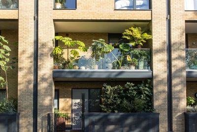 Expert tips for creating a balcony garden as a beginner