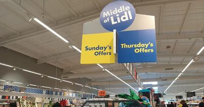 'I shopped Lidl's middle aisle and found home and garden bargains - my top five picks'