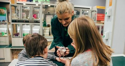 Pets at Home hosts summer workshops to help kids care for animals