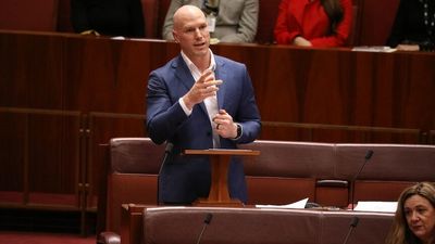 ACT Independent senator David Pocock delivers maiden speech in Senate, welcomes deaf community in Auslan