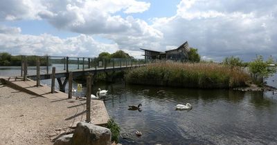 Bird flu: Investigation after more than 150 birds found dead at Attenborough Nature Reserve