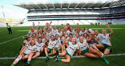 Almost half a million TV viewers tuned into the TG4 Ladies All-Ireland finals