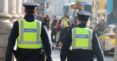 Increase in many forms of crime after fall during Covid-19 lockdown years, Garda figures show