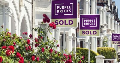 Purplebricks warns over tough market conditions - and CEO says she's taking 'decisive action' to turn business around