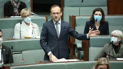 Greens leader Adam Bandt to call on government to make childcare and dental free in National Press Club address